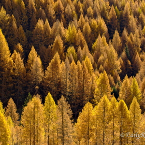 Salzburger Land in Frühling und Herbst