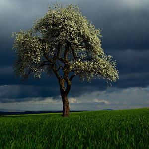 Natur und Landschaft